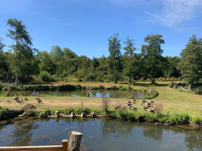 Image No.8-Mobile Home de 3 chambres à vendre à Le Touquet-Paris-Plage