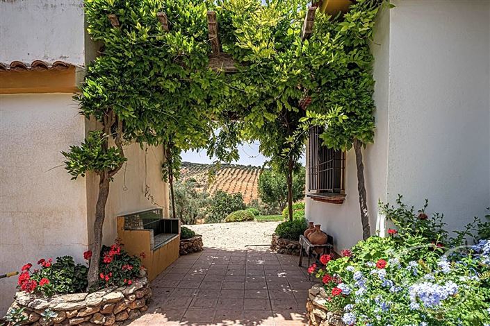 Image No.29-Propriété de 4 chambres à vendre à Archidona