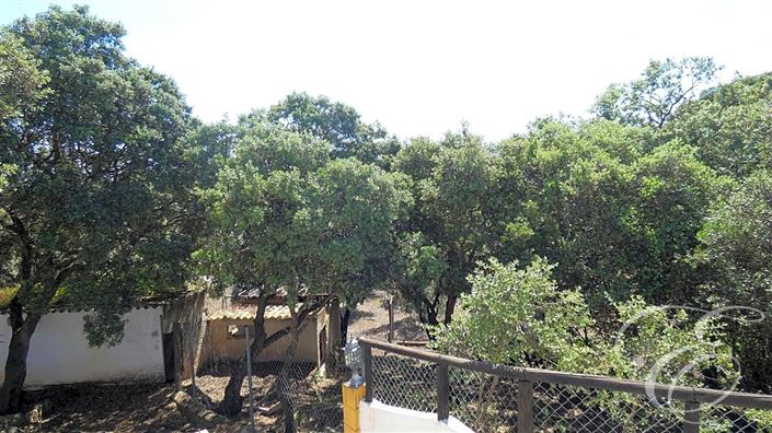 Image No.26-11 Bed Property for sale