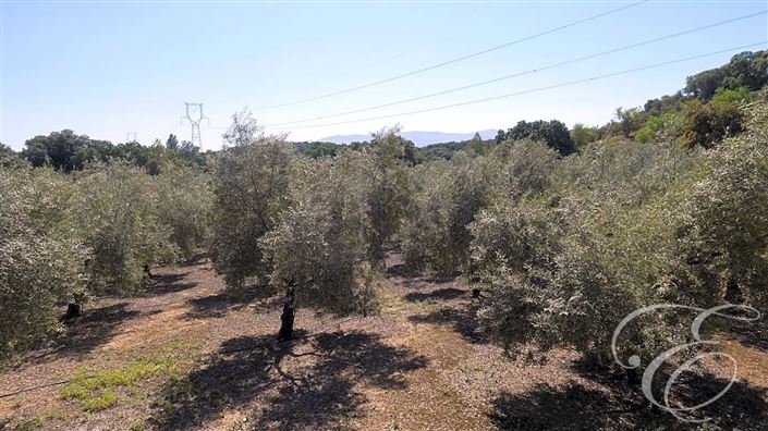 Image No.27-11 Bed Property for sale