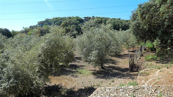 Image No.28-11 Bed Property for sale