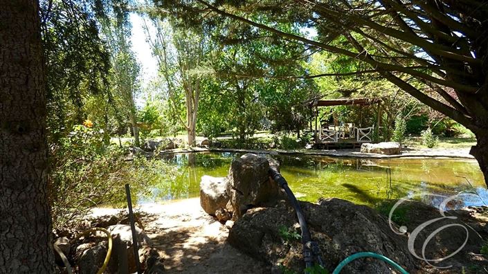 Image No.21-Propriété de 5 chambres à vendre à Archidona