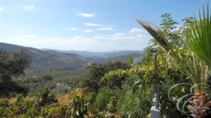 Image No.4-Propriété de 6 chambres à vendre à Iznájar