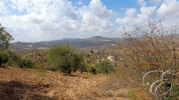 Image No.15-5 Bed Property for sale