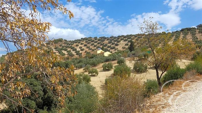 Image No.25-6 Bed Property for sale