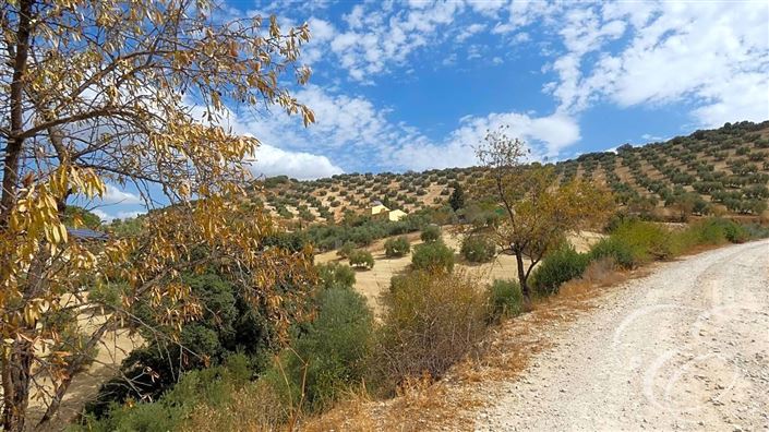 Image No.27-6 Bed Property for sale