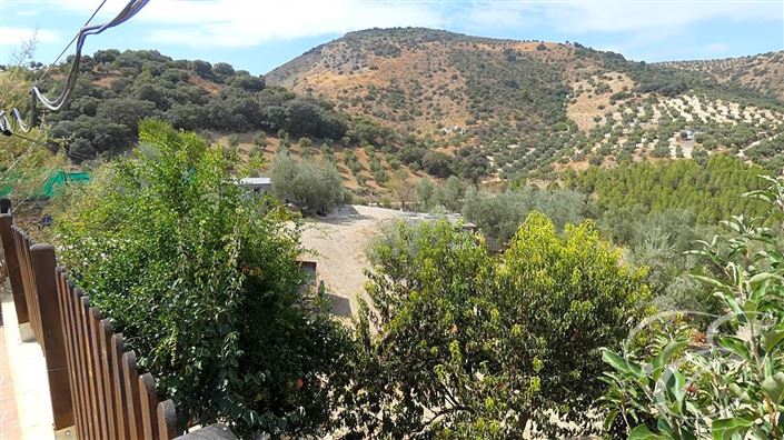 Image No.3-6 Bed Property for sale