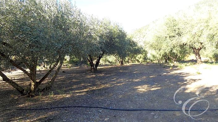 Image No.12-2 Bed Property for sale