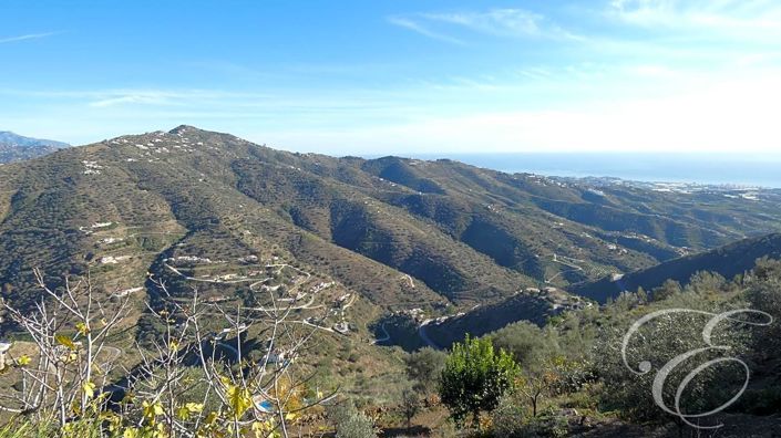 Image No.35-Propriété de 4 chambres à vendre à Arenas