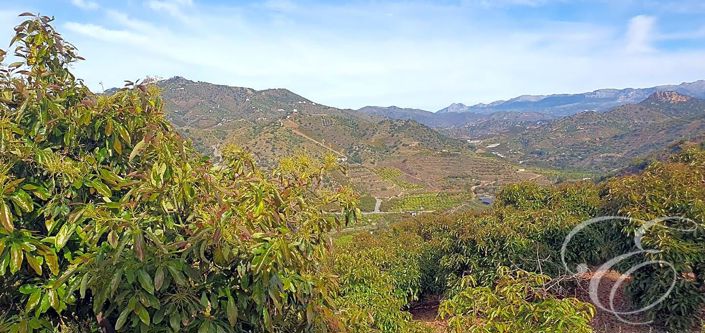 Image No.21-2 Bed Property for sale