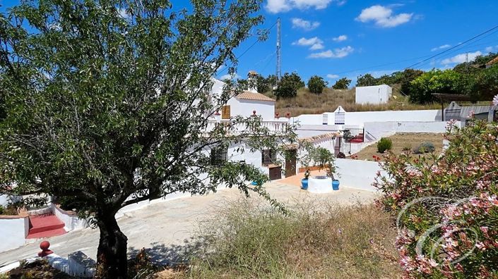 Image No.18-Propriété de 3 chambres à vendre à Benamargosa