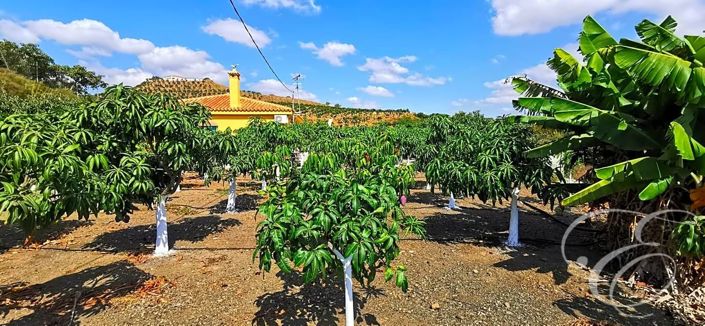 Image No.3-3 Bed Property for sale