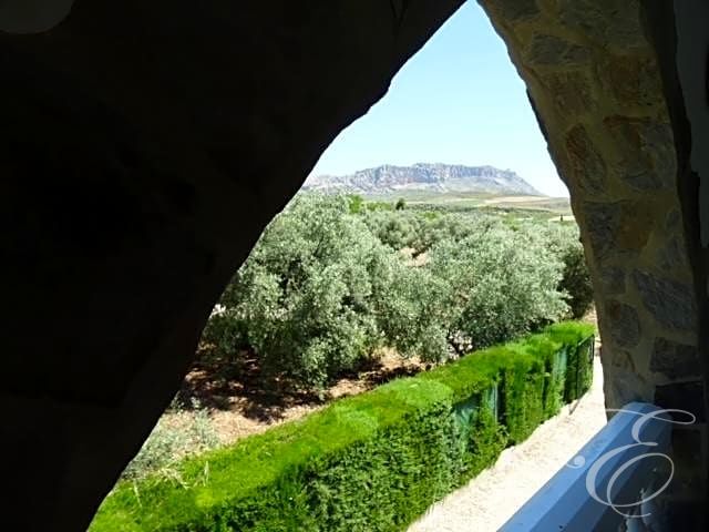 Image No.20-Propriété de 4 chambres à vendre à Villanueva de la Concepción