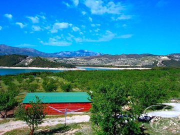 1 - Arenas del Rey, Property