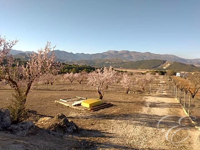 Image No.16-5 Bed Property for sale