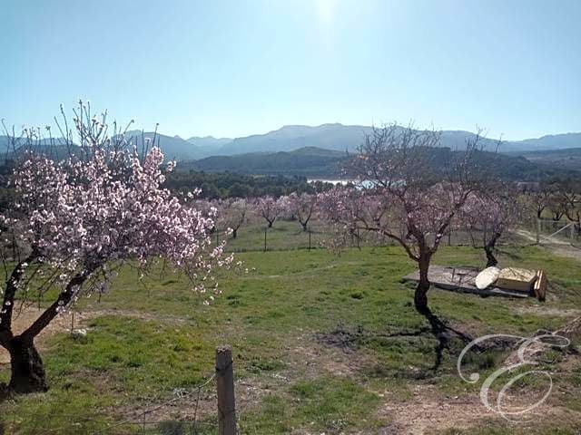 Image No.18-5 Bed Property for sale