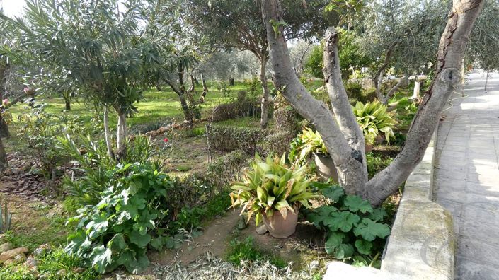 Image No.19-3 Bed Property for sale