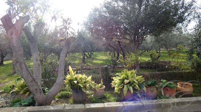 Image No.3-3 Bed Property for sale