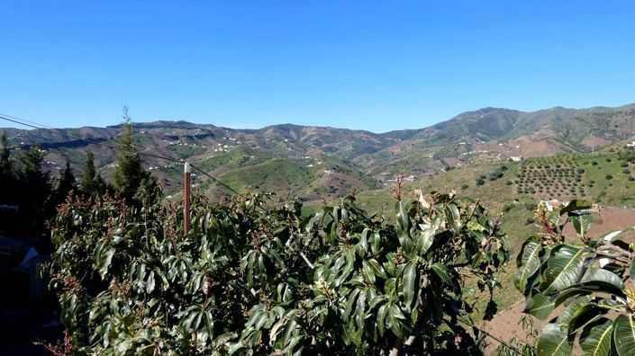 Image No.13-5 Bed Property for sale