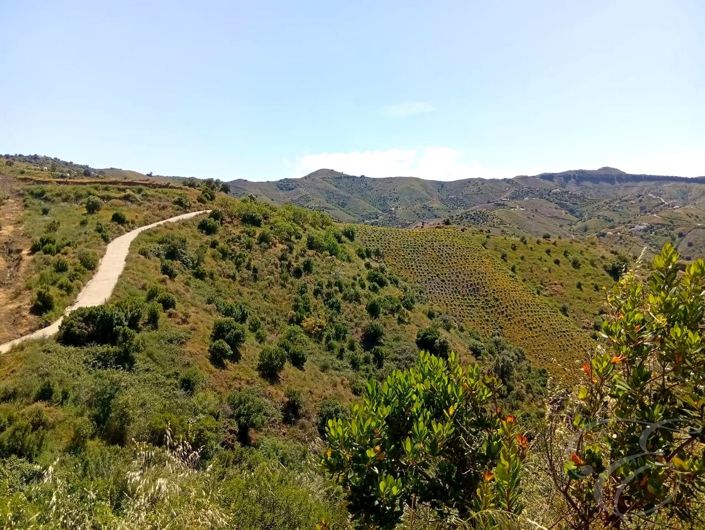 Image No.6-Propriété de 2 chambres à vendre à Iznate