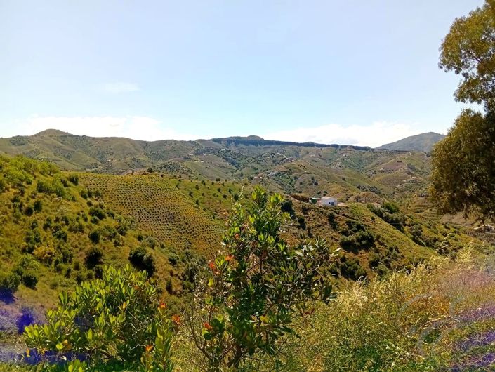 Image No.7-Propriété de 2 chambres à vendre à Iznate