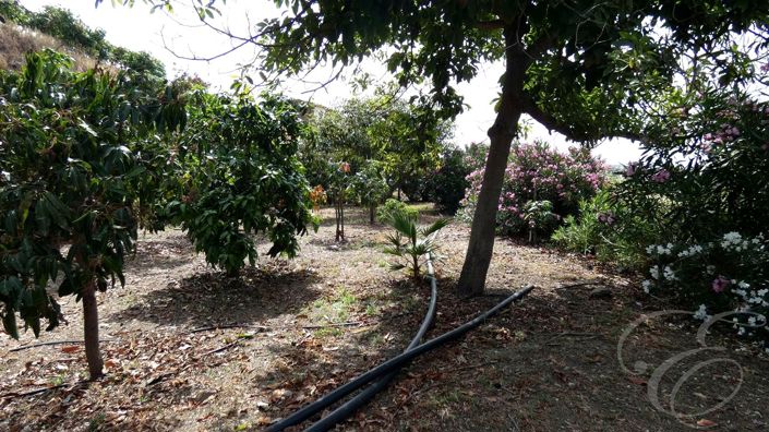 Image No.28-Propriété de 3 chambres à vendre à Benamargosa