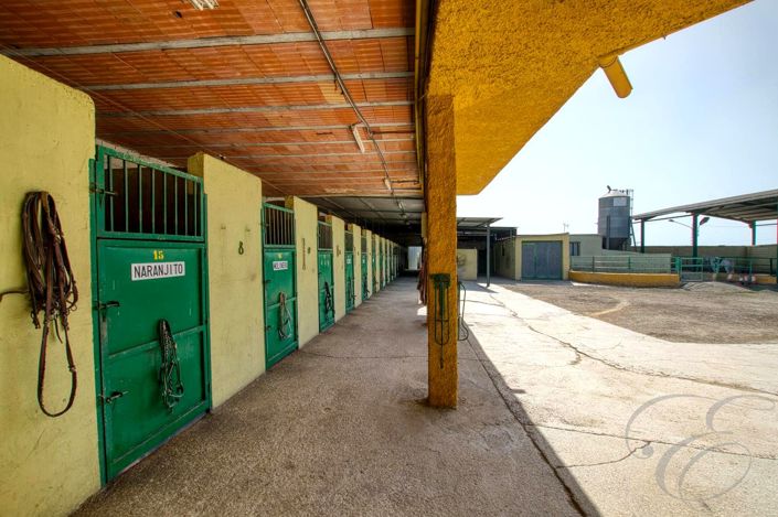 Image No.13-4 Bed Property for sale