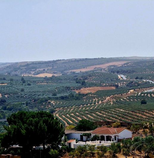 Image No.2-6 Bed Property for sale