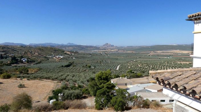 Image No.4-Propriété de 3 chambres à vendre à Archidona