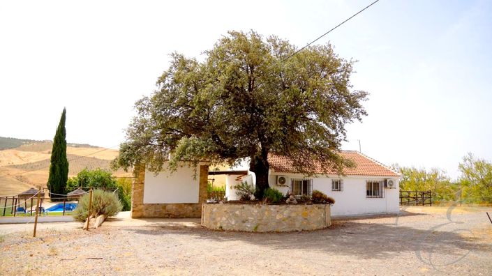 Image No.3-Propriété de 2 chambres à vendre à Villanueva de la Concepción