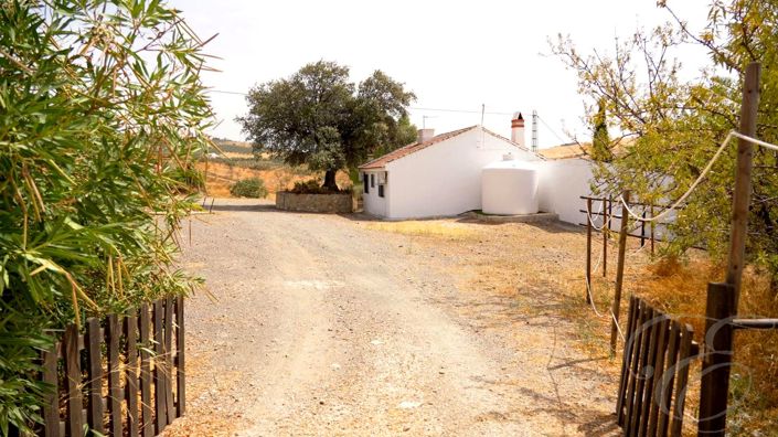 Image No.21-Propriété de 2 chambres à vendre à Villanueva de la Concepción