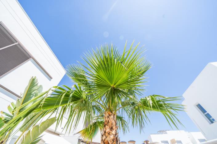 Image No.43-Villa de 3 chambres à vendre à La Marina