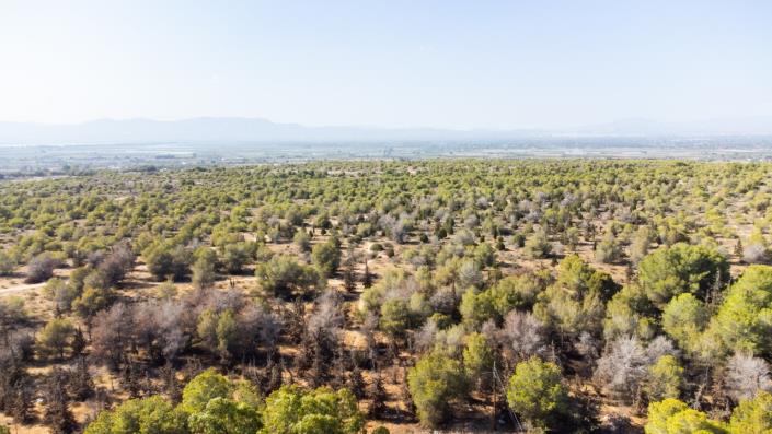 Image No.26-Maison de ville de 3 chambres à vendre à La Marina