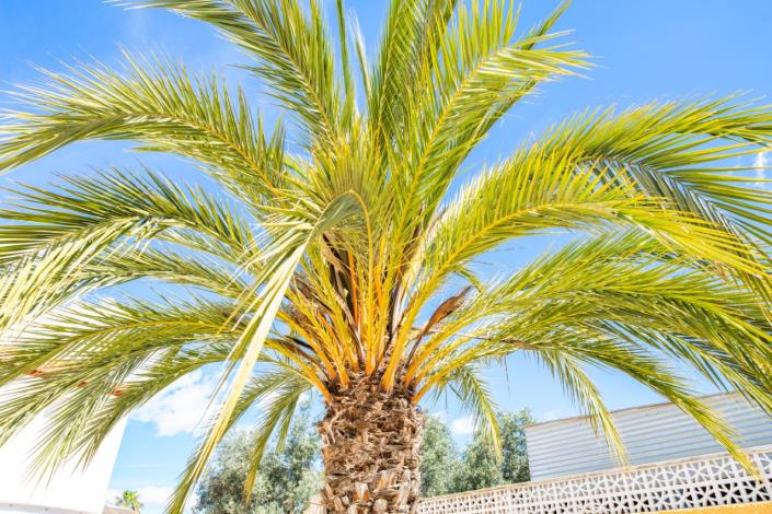 Image No.26-Villa de 4 chambres à vendre à La Marina