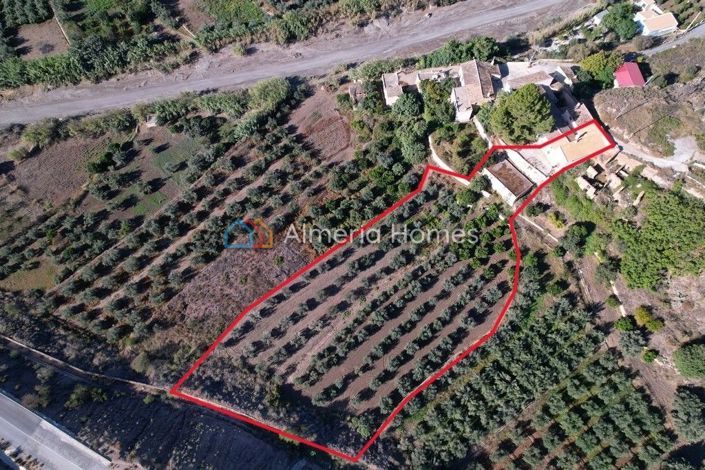 Image No.3-Maison de campagne de 6 chambres à vendre à Oria