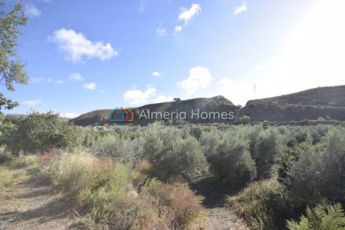 Image No.6-Maison de campagne de 6 chambres à vendre à Oria