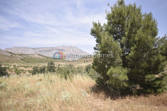 Image No.2-Maison de campagne de 10 chambres à vendre à Velez-Rubio