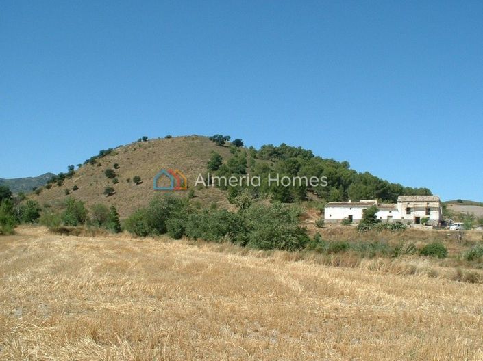 Image No.3-Maison de campagne de 10 chambres à vendre à Velez-Rubio