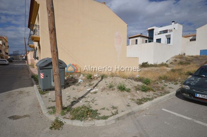 Image No.7-Terre à vendre à Albox