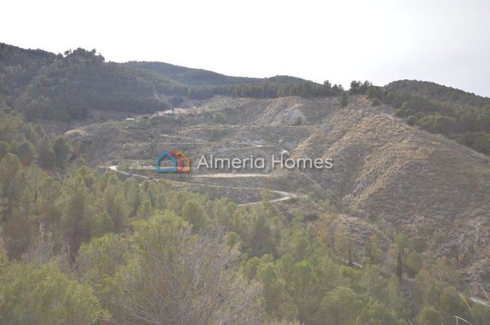 Image No.16-Maison de campagne de 2 chambres à vendre à Purchena