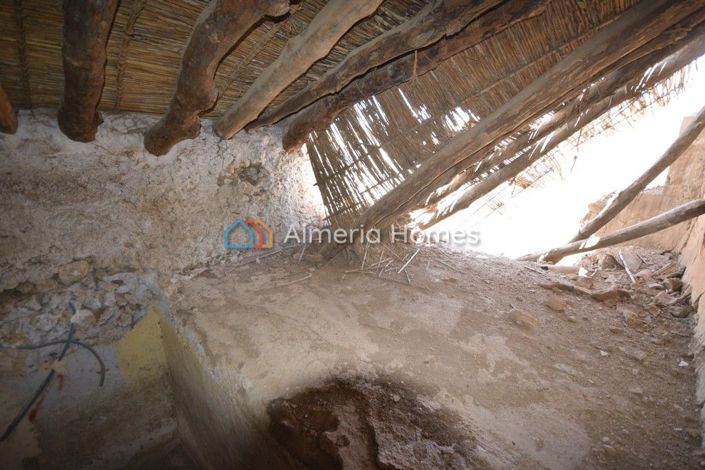 Image No.8-Maison de campagne à vendre à Oria