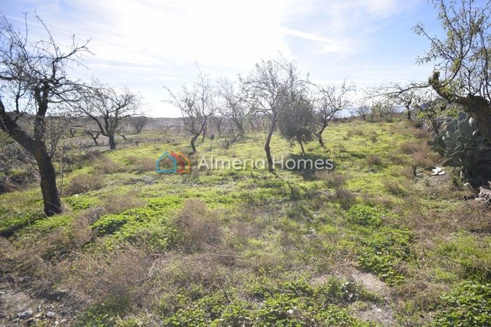 Image No.13-Maison de campagne de 4 chambres à vendre à Almeria