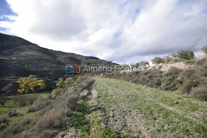 Image No.9-Maison de village à vendre à Los Cerricos