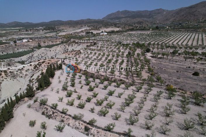 Image No.16-3 Bed Villa for sale