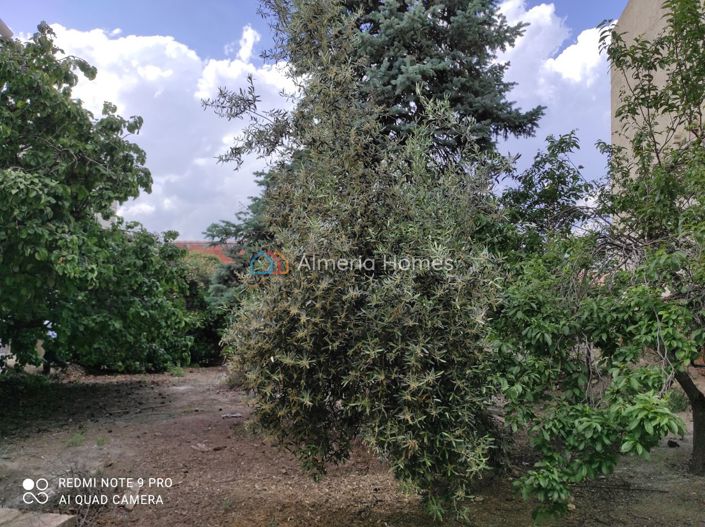 Image No.27-Maison de village de 5 chambres à vendre à Almeria