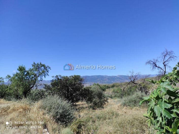 Image No.11-Maison de campagne de 5 chambres à vendre à Lúcar