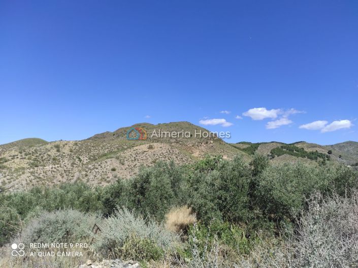 Image No.18-Maison de campagne de 5 chambres à vendre à Lúcar