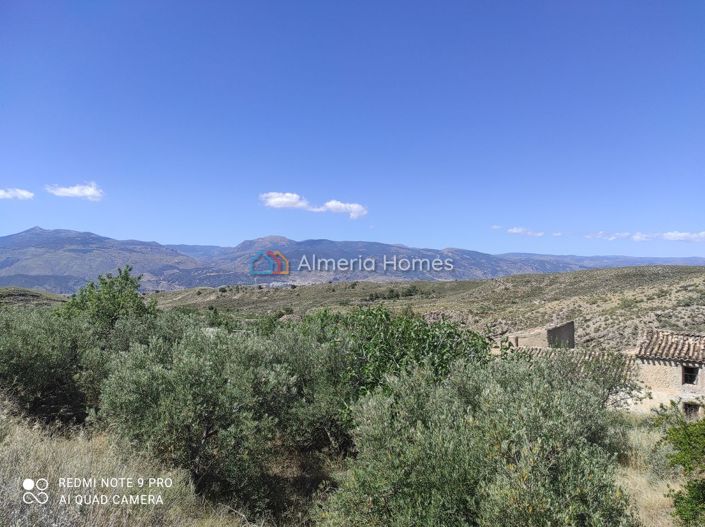 Image No.25-Maison de campagne de 5 chambres à vendre à Lúcar