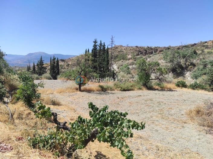 Image No.10-Maison de campagne de 1 chambre à vendre à Lúcar