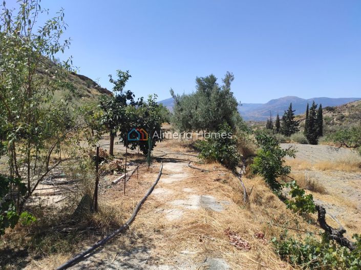 Image No.11-Maison de campagne de 1 chambre à vendre à Lúcar